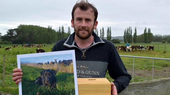 South Otago dairy farmer Harry Cotter is warning about the dangers of calf milk replacer after his dog Oscar died. Photo / Shawn McAvinue