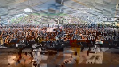 Coterie gearing up for their national tour