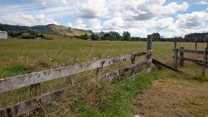 The Government has bought 31 Ngongotahā Rd, with plans to build 350 homes. Photo / Andrew Warner