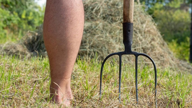 Hamilton man Shae Dobbs, 37, inflicted such a horrific attack on a woman that every rib of hers was broken. Image / 123rf