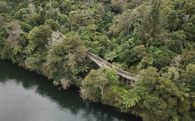 (Photo / NZ Herald)