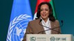 The Sunday Panel: Could Kamala Harris announce another presidential campaign?