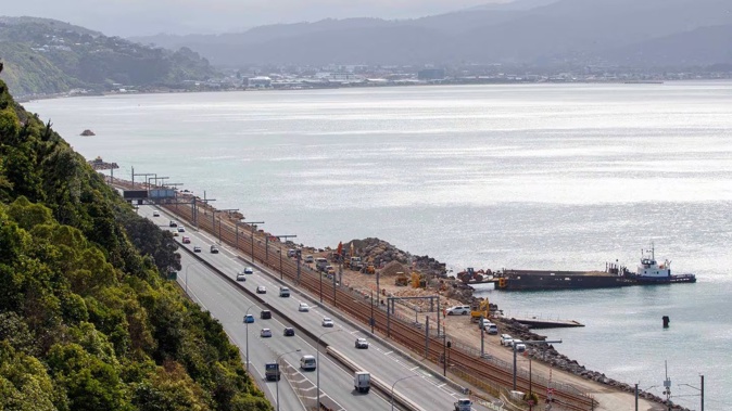 Construction was halted on the Wellington to Petone shared cycling and walking path following several penguin deaths earlier this year. Photo / Mark Mitchell
