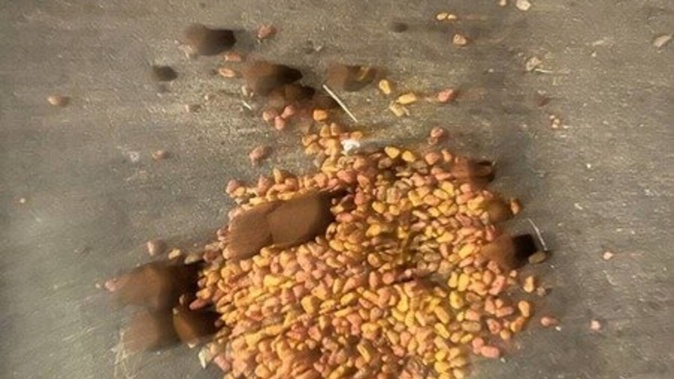 Krispy Kreme in Manukau has been accused of putting coffee grounds on food left for community cats.