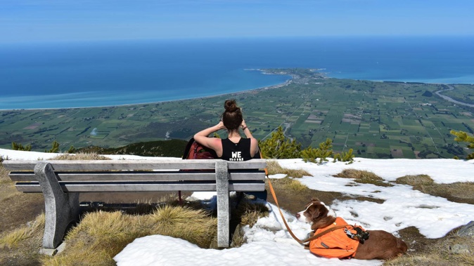 On the summit of Mt Fyffe, looking at the Kaikōura peninsula. Photo credit / CJ Duncan