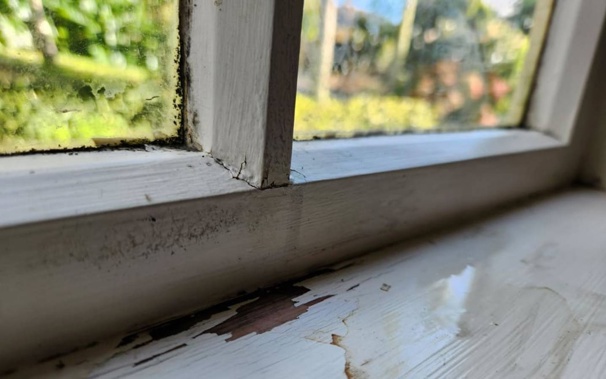 The mouldy and draughty windows in Sarah Yates' Mt Eden flat. Photo / RNZ