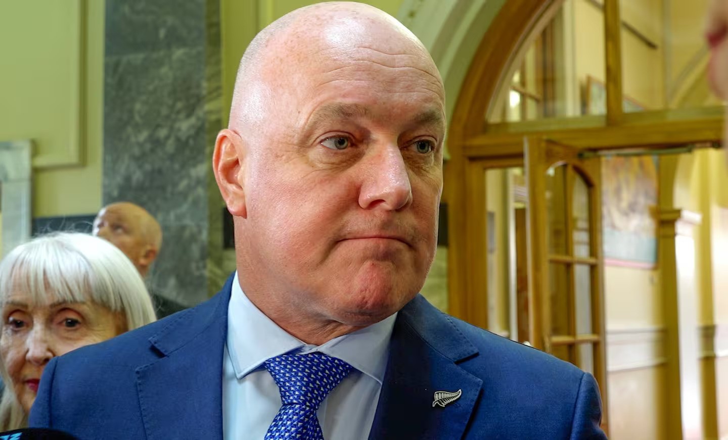 Prime Minister Christopher Luxon speaking to media on his way tio the National caucus, Parliament, Wellington, 11 February, 2025. NZME photograph by Mark Mitchell