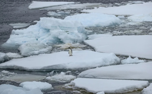 Les scientifiques ont averti que la circulation océanique cruciale de l’Antarctique est sur le point de s’effondrer si la pollution d’une planète qui se réchauffe reste élevée.