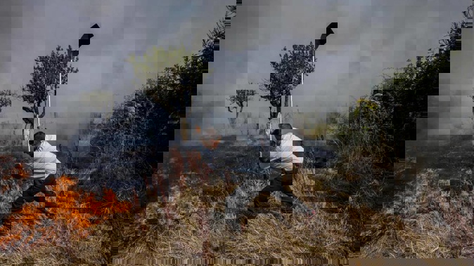 A local resident fights a forest fire with a shovel during a wildfire in Tabara, north-west Spain, July 19, 2022. Photo / AP