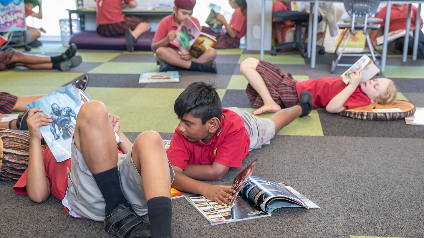 Photo / Peter Meecham | File