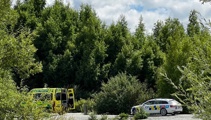 Child escapes serious injury after being hit by vehicle in Queenstown