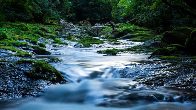 Hikes reported the area reeked of beer - now everyone knows why. (Photo / 123rf)
