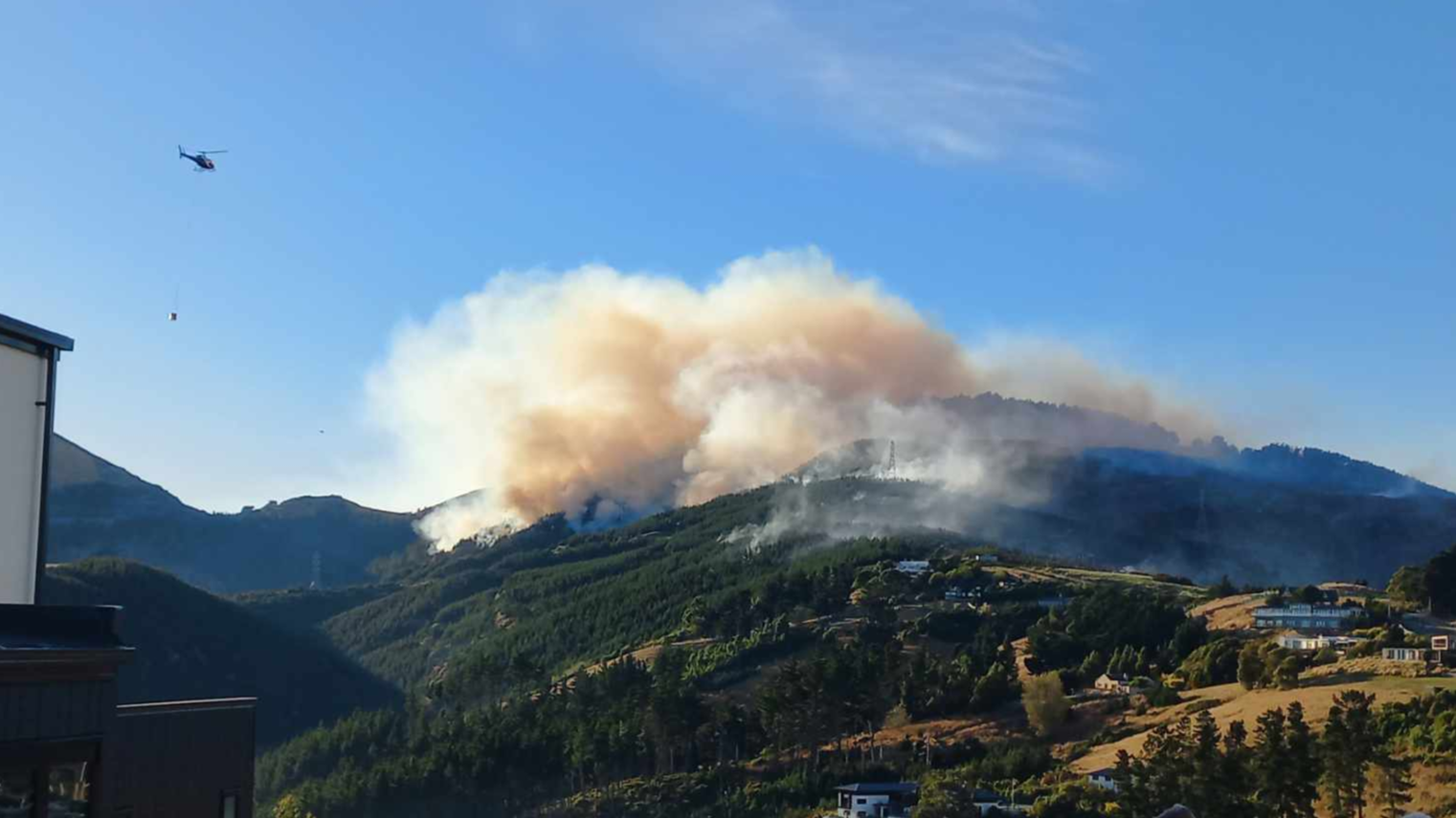 Photo / Azaria Howell