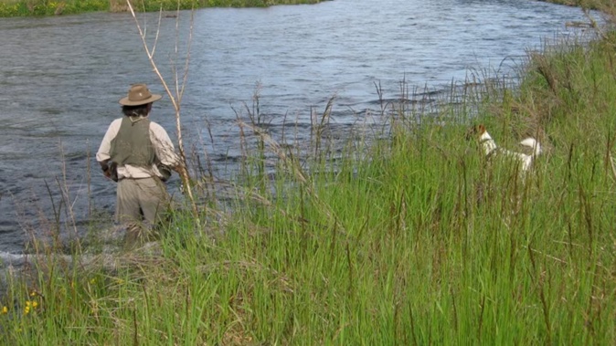 The Opihi River. Photo / Creative Commons image