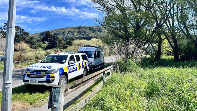 Police cars near the entrance to Duncan Park in Heathcote Valley.