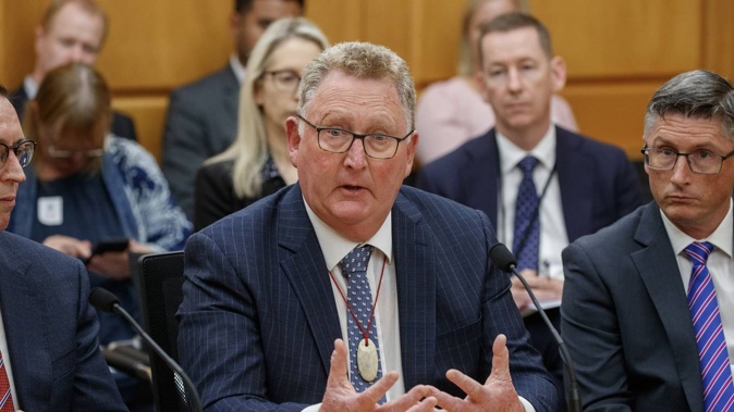 Reserve Bank Governor Adrian Orr. Photo / Mark Mitchell