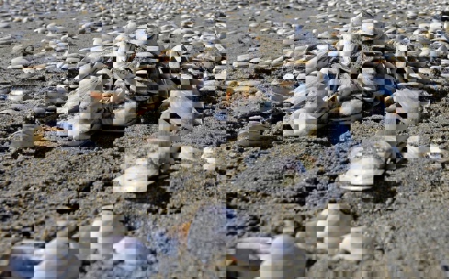 'I thought I was going to die': Woman wakes up paralysed after eating ...