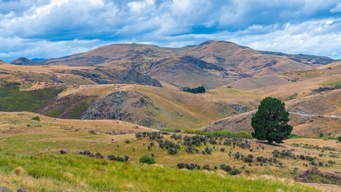 The pilot flew paid scenic flights in the Clyde and Alexandra area of Central Otago despite not having the correct licence or certification. Photo / 123RF