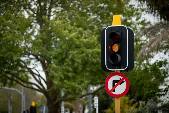 Photo / NZ Herald