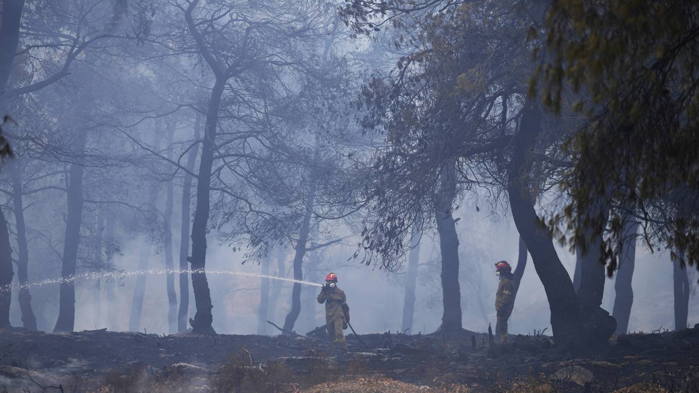 Firefighters spray water inside a woodland during a wildlife in the suburb of Stamata, in northern Athens, Greece. Photo / AP