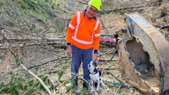 Kiwi sniffer dog Pearl with her handler Steve is keeping kiwi safe from roading work being done in the Brynderwyns. Photo / Supplied