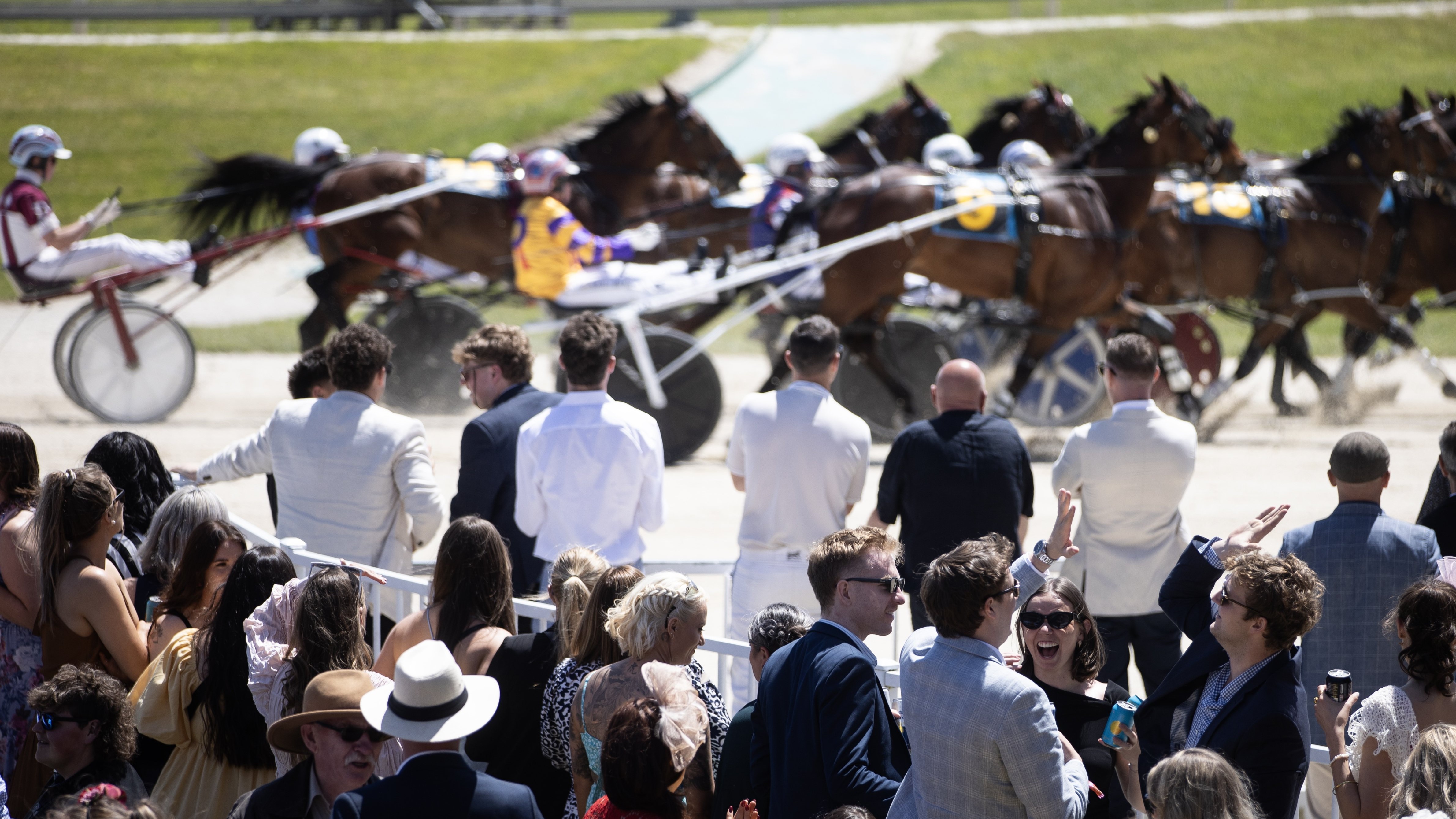 Cup Day is kicking off today at Addington Raceway. Photo / George Heard