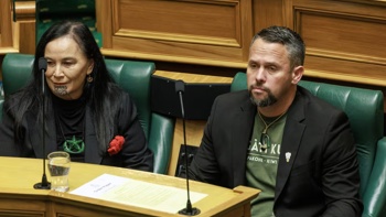 'All performative': Te Pāti Māori scolded for 'dumbest' bill burning at Parliament amid high winds
