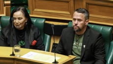 Speaker Gerry Brownlee condemns Te Pāti Māori MPs burning bill on Parliament forecourt