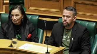 'All performative': Te Pāti Māori scolded for 'dumbest' bill burning at Parliament amid high winds