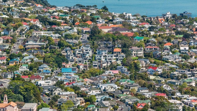 More than 40 councils are scrambling to check whether at least 1000 buildings are structurally safe. Photo / Manfred Gottschalk