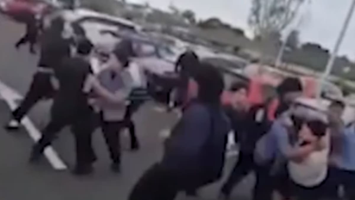 ‘Terrified’ public hide as mass student brawl erupts at West Auckland train station