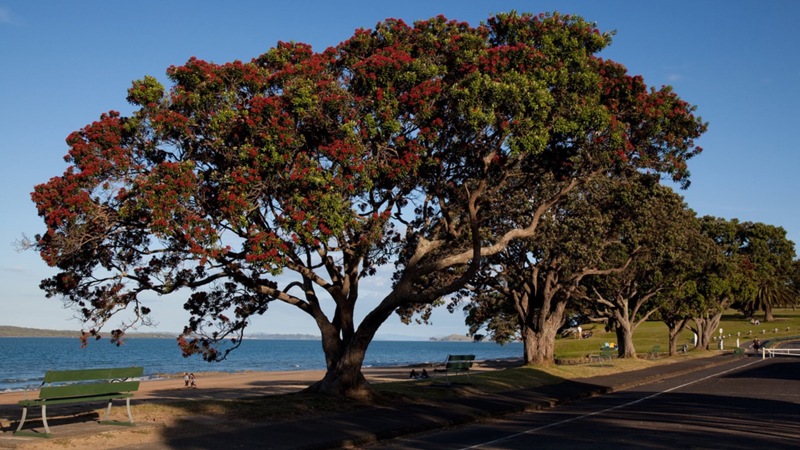 Andrew Dickens: We deserve our summer break