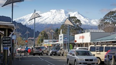 A person has died on Mount Ruapehu.