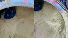 A mother who bought baby formula from Chemist Warehouse in Takanini allegedly found live bugs inside a newly opened tin.