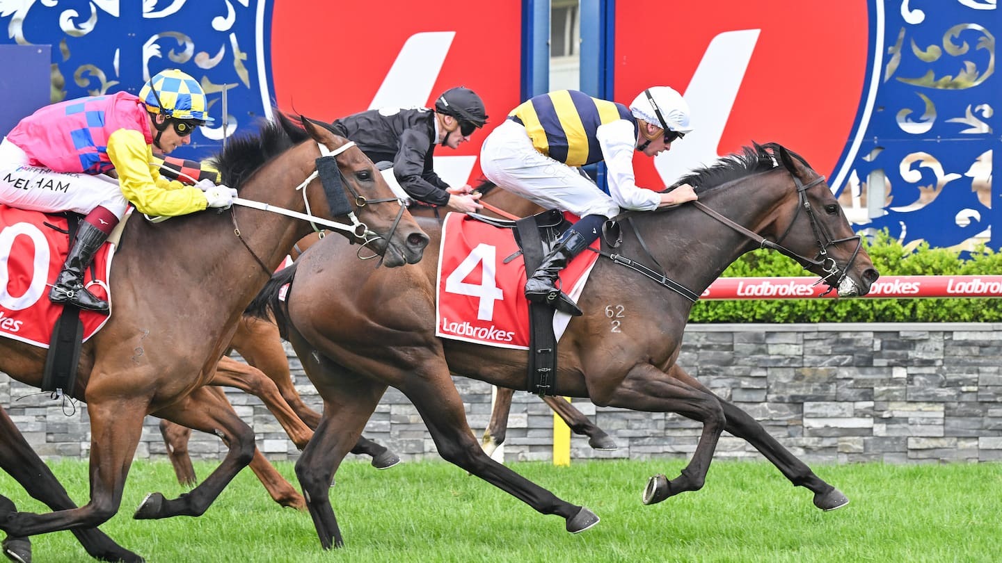 Former Napier Boys' High School pupil Michael Dee riding a winner at Geelong last month, one of 926 winners in a career of 14 years. Photo / Reg Ryan Racing Photos