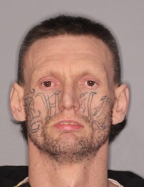 Hellensville police are searching for Regan Mckinley. Photo / Police