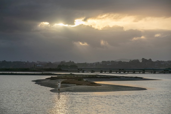 Niwa is one of the Government's weather and climate agencies. Photo / Warren Buckland.
