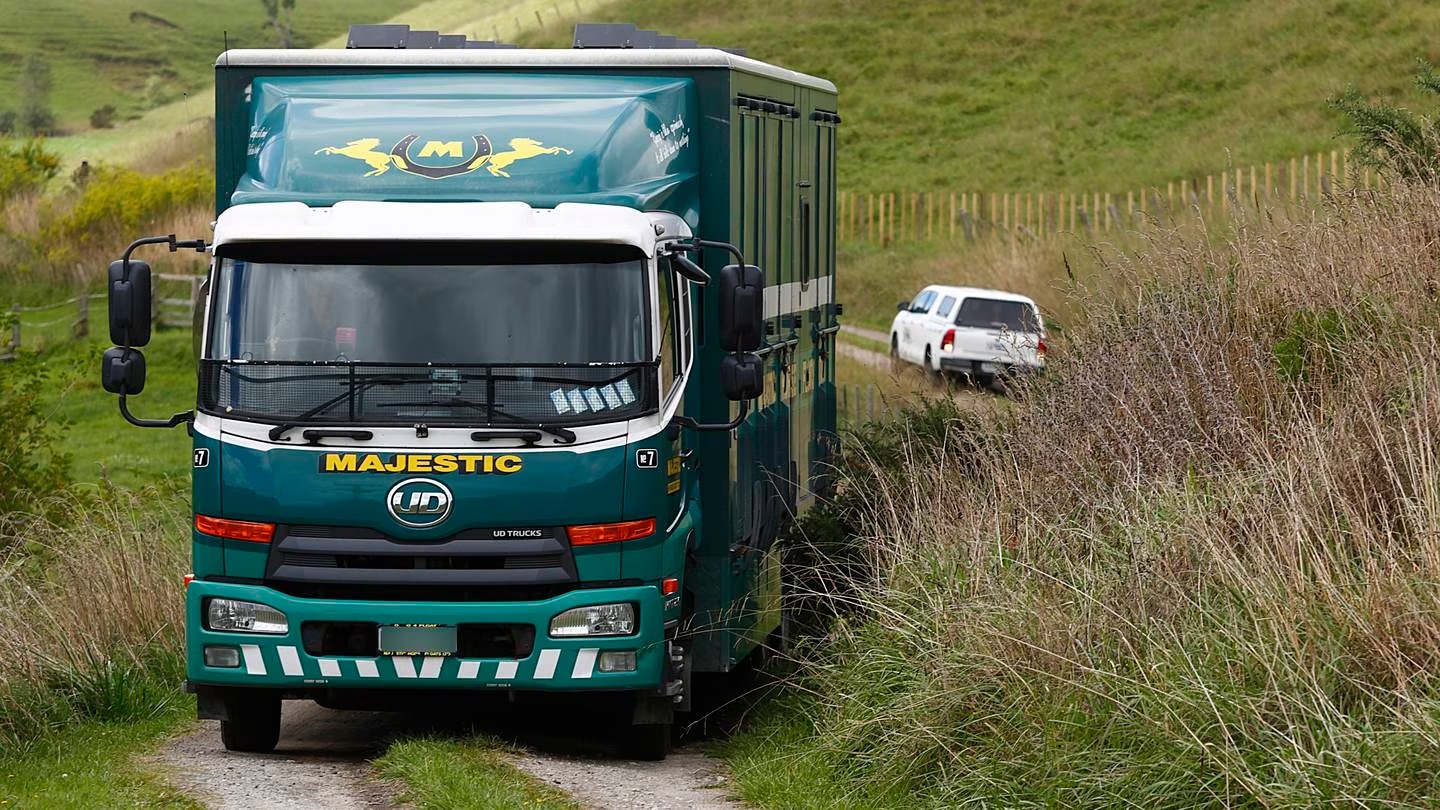 The SPCA had previously visited Regal Fern Lodge. Photo / NZME