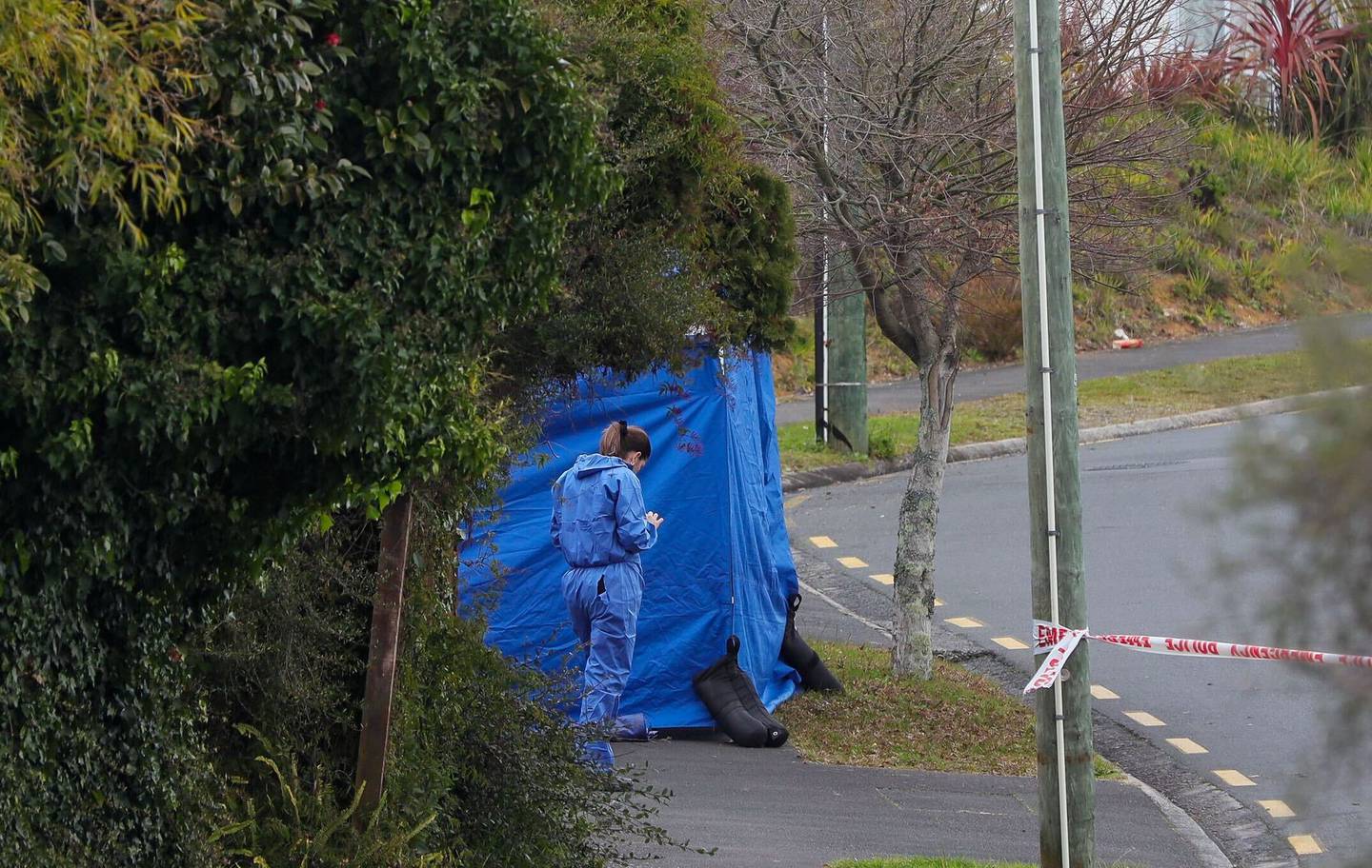 A forensic staff member at the scene on O'Donoghue St. (Photo / Mike Scott)