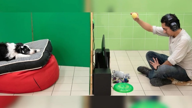 18 dogs and their owners participated in the experiment. Oszkar Daniel Gati