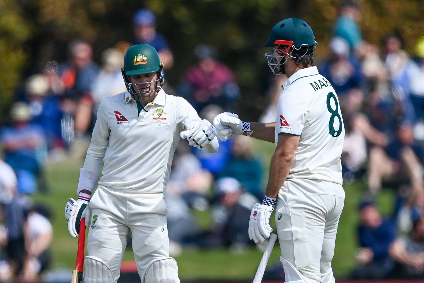 Alex Carey and Mitch Marsh nearly landed a knockout punch. Photo / Photosport