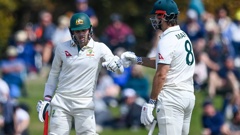 Alex Carey and Mitch Marsh nearly landed a knockout punch. Photo / Photosport