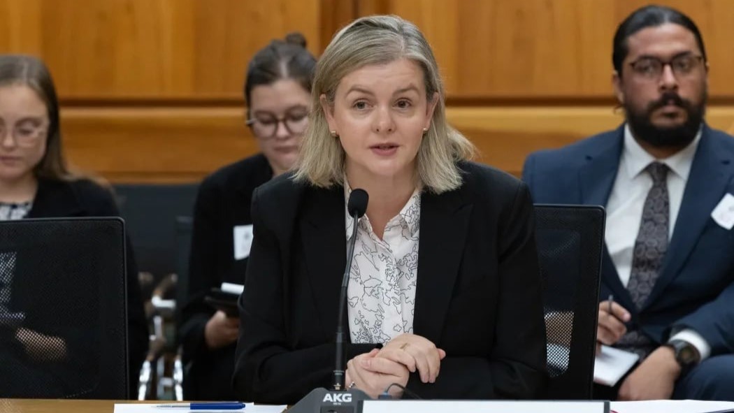 Act Party's lack of support for modern slavery bill sees National team up with Labour