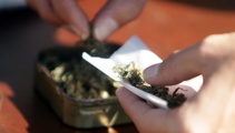 Cannabis activists warned to 'stay off the grass'