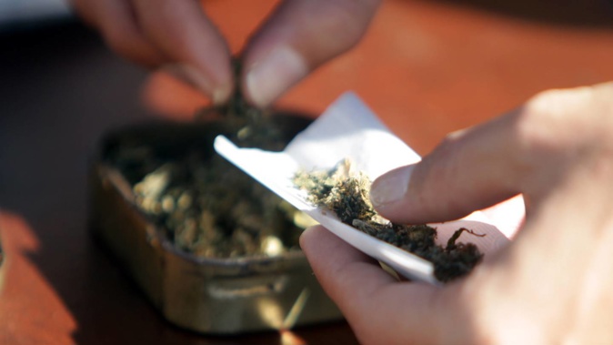 Central Dunedin park will be used on Saturday for J Day, an event celebrating Kiwi cannabis culture and protesting prohibition-era laws. (Photo / Paul Taylor, File)