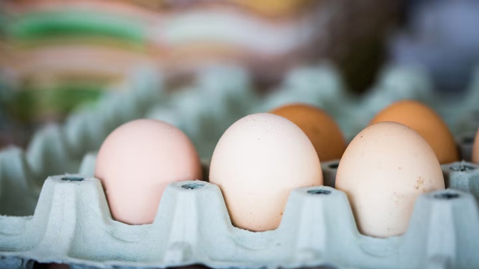 The National Animal Welfare Advisory Committee plans to review the Code of Welfare for layer hens as part of its work programme. Photo / 123rf