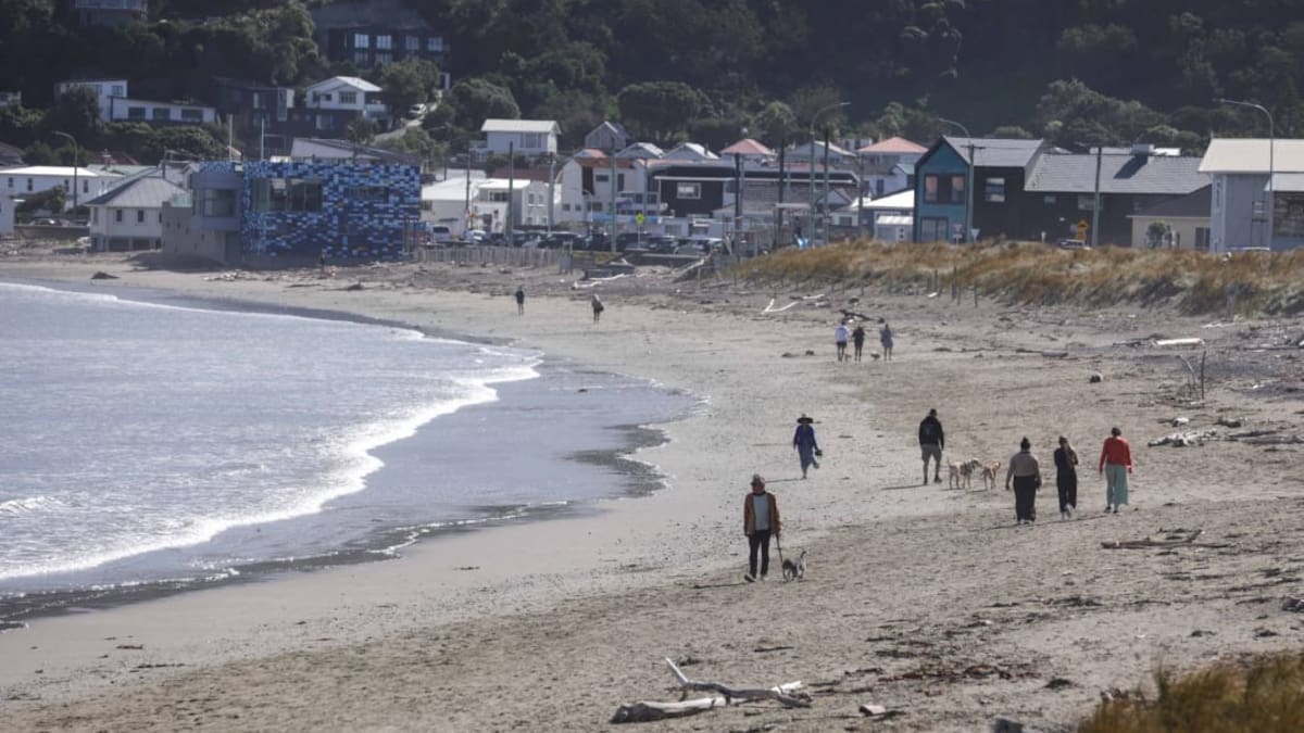 'Matter of survival': Pay-outs for Wellington businesses after sewage disaster