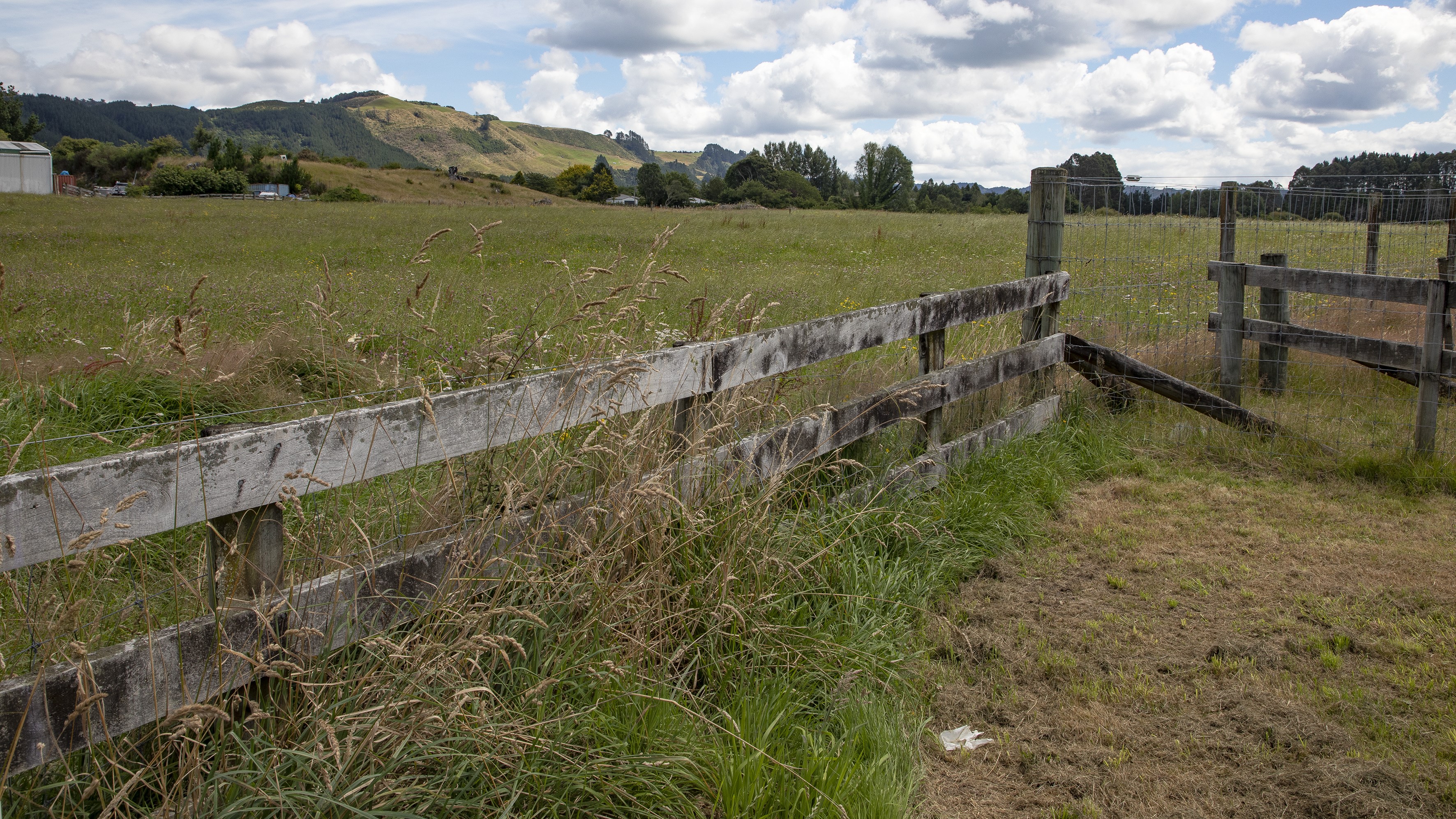 Photo / Andrew Warner