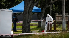 Forensic staff investigate at the scene of Arohaina Henare's death. (Photo / Paul Taylor)