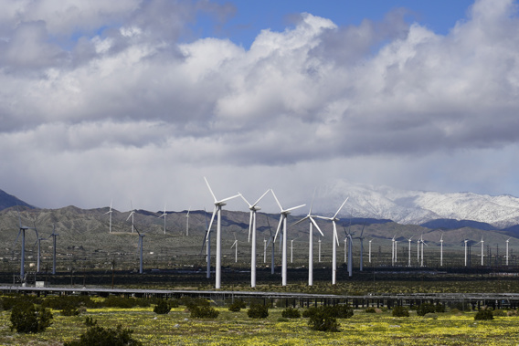 Wind turbines stand in fields near Palm Springs, California. Photo / AP